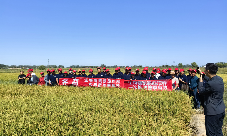 齐商水稻观摩 副本.jpg